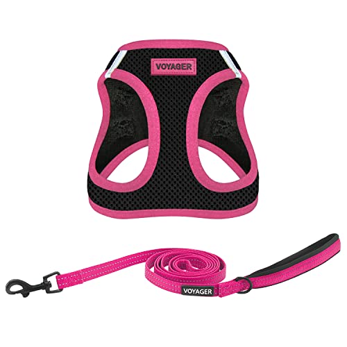 Voyager Step-in-Air Allwetter-Netzgeschirr und reflektierende Hunde-Leine, Kombination mit Neoprengriff, für kleine, mittelgroße und große Welpen, von Best Pet Supplies – Schwarz/Rosa Rand, Größe XS Voyager Step-in-Air Allwetter-Netzgeschirr und reflektierende Hunde-Leine, Kombination mit Neoprengriff, für kleine, mittelgroße und große Welpen, von Best Pet Supplies – Schwarz/Rosa Rand, Größe XS von Best Pet Supplies