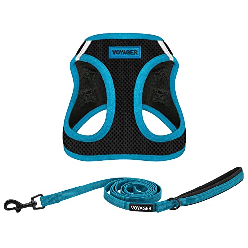 Voyager Step-in-Air Allwetter-Netzgeschirr und reflektierende Hunde-Leine, Kombination mit Neoprengriff, für kleine, mittelgroße und große Welpen, von Best Pet Supplies – Schwarz/blauer Rand, Größe XL Voyager Step-in-Air Allwetter-Netzgeschirr und reflektierende Hunde-Leine, Kombination mit Neoprengriff, für kleine, mittelgroße und große Welpen, von Best Pet Supplies – Schwarz/blauer Rand, Größe XL von Best Pet Supplies