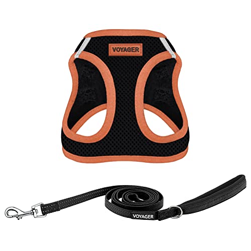 Voyager Step-in-Air Allwetter-Netzgeschirr und reflektierende Hunde-Leine, Kombination mit Neoprengriff, für kleine, mittelgroße und große Welpen, von Best Pet Supplies – Schwarz/oranger Rand, Größe S Voyager Step-in-Air Allwetter-Netzgeschirr und reflektierende Hunde-Leine, Kombination mit Neoprengriff, für kleine, mittelgroße und große Welpen, von Best Pet Supplies – Schwarz/oranger Rand, Größe S von Best Pet Supplies