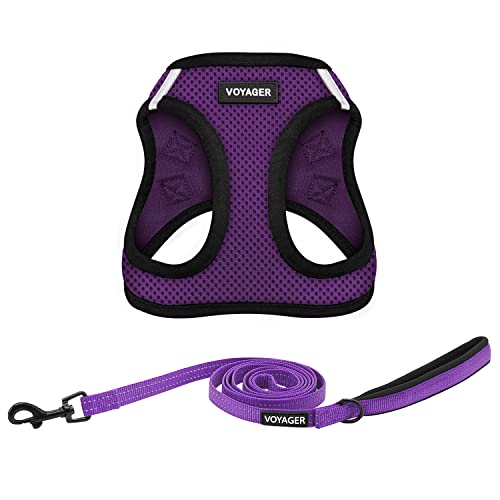 Voyager Step-in-Air Allwetter-Netzgeschirr und reflektierende Hunde-Leine, Kombination mit Neoprengriff, für kleine, mittelgroße und große Welpen, von Best Pet Supplies – Violett/schwarzer Rand, XXS Voyager Step-in-Air Allwetter-Netzgeschirr und reflektierende Hunde-Leine, Kombination mit Neoprengriff, für kleine, mittelgroße und große Welpen, von Best Pet Supplies – Violett/schwarzer Rand, XXS von Best Pet Supplies