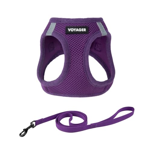 Voyager Step-in-Air-Geschirr für Katzen, Allwetter-Netzgewebe, Step-in-Weste, Geschirr für kleine und große Katzen, von Best Pet Supplies – Lila, Größe M (Brustumfang 38,1–43,2 cm) von Best Pet Supplies