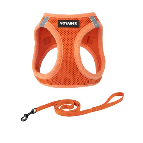 Voyager Step-in-Air-Geschirr für Katzen, Allwetter-Netzgewebe, Step-in-Weste, Geschirr für kleine und große Katzen, von Best Pet Supplies – Orange, Größe M (Brustumfang 38,1–43,2 cm) von Best Pet Supplies