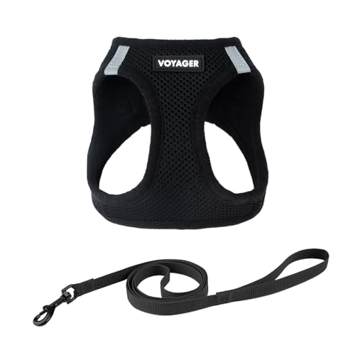Voyager Step-in-Air-Geschirr für Katzen, Allwetter-Netzgewebe, Step-in-Weste, Geschirr für kleine und große Katzen, von Best Pet Supplies – Schwarz, Größe M (Brustumfang 38,1–43,2 cm) von Best Pet Supplies