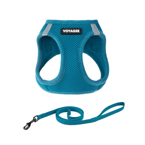 Voyager Step-in-Air-Geschirr für Katzen, Allwetter-Netzgewebe, Step-in-Weste, Geschirr für kleine und große Katzen, von Best Pet Supplies – Türkis, Größe M (Brustumfang 38,1–43,2 cm) von Best Pet Supplies