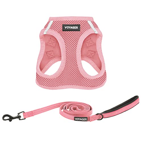 Voyager Step-in-Air-Katzengeschirr – Allwetter-Netzgewebe für kleine und mittelgroße Katzen von Best Pet Supplies – Geschirr-Leinen-Set (Rosa), XXS von Best Pet Supplies