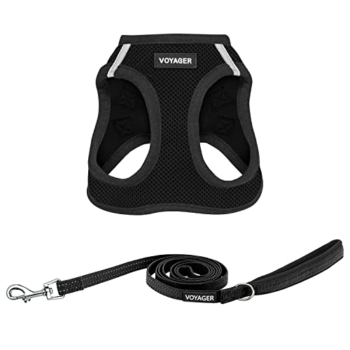Voyager Step-in-Air-Katzengeschirr – Allwetter-Netzgewebe für kleine und mittelgroße Katzen von Best Pet Supplies – Set, Schwarz, XXXS von Best Pet Supplies