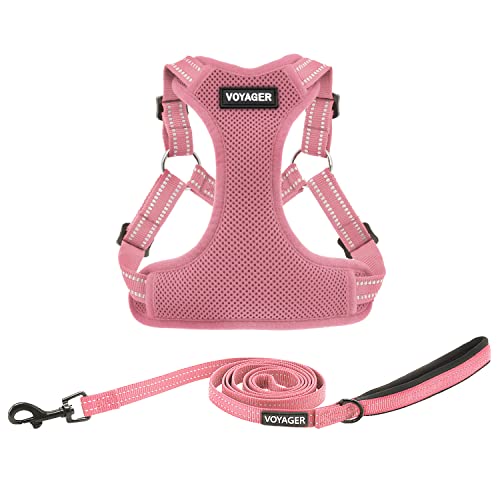 Voyager Step-in Flex Hundegeschirr und reflektierende Hundeleine Kombi-Set mit Neoprengriff 1,5 m lang, unterstützt kleine, mittlere und große Rassen Welpen, rosa (mit Leine), M von Best Pet Supplies