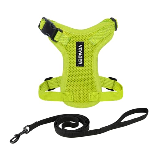 Voyager Step-in Lock Katzengeschirr und reflektierende Katzenleine mit Neoprengriff by Best Pet Supplies - Unterstützt kleine, mittelgroße und große Katzenrassen, Limettengrün, size S - 1,5 m von Best Pet Supplies