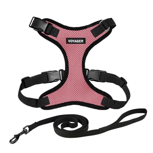 Voyager Step-in Lock Katzengeschirr und reflektierende Katzenleine mit Neoprengriff by Best Pet Supplies - Unterstützt kleine, mittelgroße und große Katzenrassen, Rosa / Schwarzer Rand, size S - 1,5 m von Best Pet Supplies