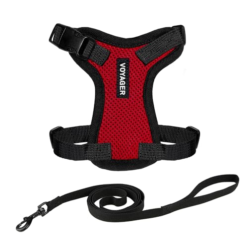Voyager Step-in Lock Katzengeschirr und reflektierende Katzenleine mit Neoprengriff by Best Pet Supplies - Unterstützt kleine, mittelgroße und große Katzenrassen, Rot / Scharzwer Rand, size S - 1,5 m von Best Pet Supplies