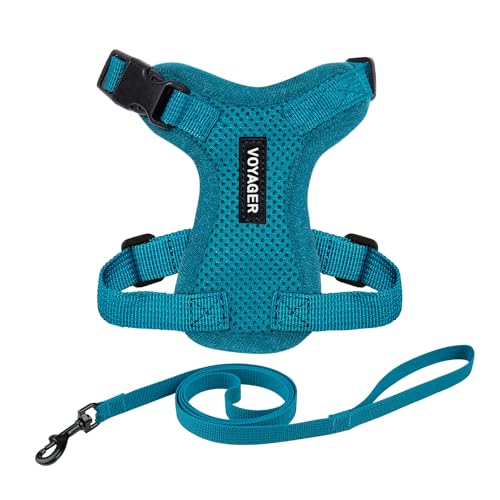 Voyager Step-in Lock Katzengeschirr und reflektierende Katzenleine mit Neoprengriff by Best Pet Supplies - Unterstützt kleine, mittelgroße und große Katzenrassen, Türkis, size S - 1,5 m von Best Pet Supplies