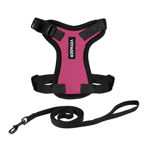 Voyager Step-in Lock Katzengeschirr und reflektierende Katzenleine mit Neoprengriff by Best Pet Supplies - Unterstützt kleine, mittlereund große Katzenrassen, Fuchisa / Schwarzer Rand, size S - 1,5 m von Best Pet Supplies
