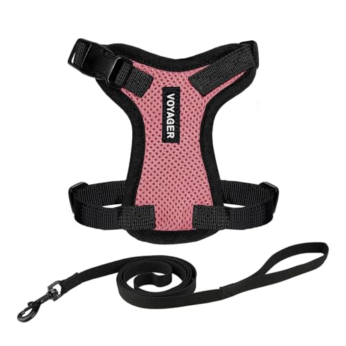 Voyager Step-in Lock Katzengeschirr und reflektierende Katzenleine mit Neoprengriff by Best Pet Supplies - Unterstützt kleine, mittlereund große Katzenrassen, Rosa / Schwarzer Rand, size XS - 1,5 m von Best Pet Supplies