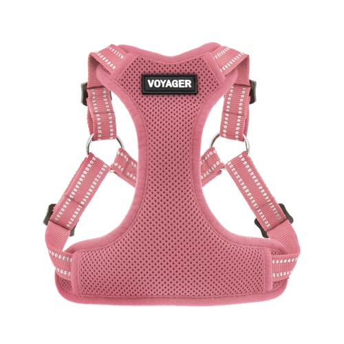Voyager Verstellbares Hundegeschirr mit Reflektorstreifen by Best Pet Supplies - Strapazierfähige Ganzkörperweste ohne Zugkraft mit Leinen-D-Ring, atmungsaktiv, Rosa, size XL Voyager Verstellbares Hundegeschirr mit Reflektorstreifen by Best Pet Supplies - Strapazierfähige Ganzkörperweste ohne Zugkraft mit Leinen-D-Ring, atmungsaktiv, Rosa, size XL von Best Pet Supplies