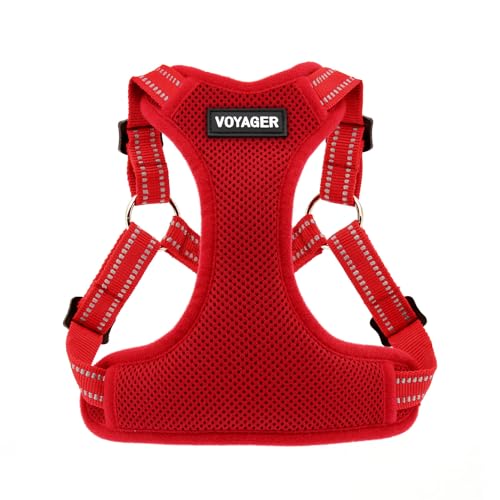Voyager Verstellbares Hundegeschirr mit Reflektorstreifen by Best Pet Supplies - Strapazierfähige Ganzkörperweste ohne Zugkraft mit Leinen-D-Ring, atmungsaktiv, Rot, size XL Voyager Verstellbares Hundegeschirr mit Reflektorstreifen by Best Pet Supplies - Strapazierfähige Ganzkörperweste ohne Zugkraft mit Leinen-D-Ring, atmungsaktiv, Rot, size XL von Best Pet Supplies