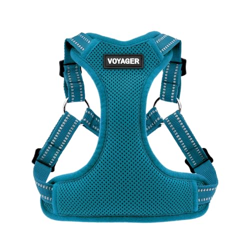 Voyager Verstellbares Hundegeschirr mit Reflektorstreifen by Best Pet Supplies - Strapazierfähige Ganzkörperweste ohne Zugkraft mit Leinen-D-Ring, atmungsaktiv, Türkis, size XS von Best Pet Supplies