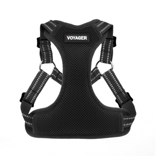 Voyager Verstellbares Hundegeschirr mit Reflektorstreifen by Best Pet Supplies - Strapazierfähige Ganzkörperweste ohne Zugkraft mit Leinen-D-Ring, atmungsaktiv, Schwarz, size S Voyager Verstellbares Hundegeschirr mit Reflektorstreifen by Best Pet Supplies - Strapazierfähige Ganzkörperweste ohne Zugkraft mit Leinen-D-Ring, atmungsaktiv, Schwarz, size S von Best Pet Supplies