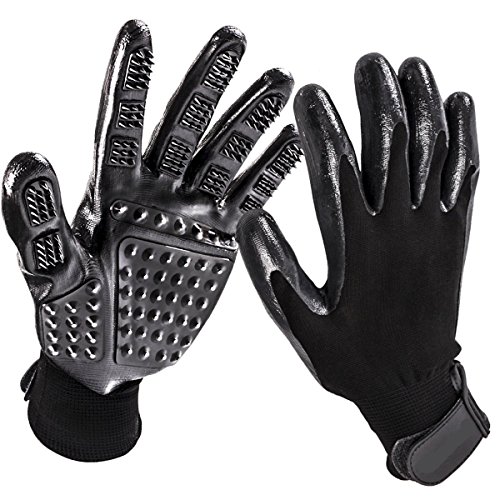 Bestbuy Fellpflege-Handschuhe – Verbessertes Fünf-Finger-Design Gummi Handschuh sanfte Enthaarungsbürsten für Katzen, Hunde und Pferde (schwarz) Bestbuy Fellpflege-Handschuhe – Verbessertes Fünf-Finger-Design Gummi Handschuh sanfte Enthaarungsbürsten für Katzen, Hunde und Pferde (schwarz) von Bestbuy