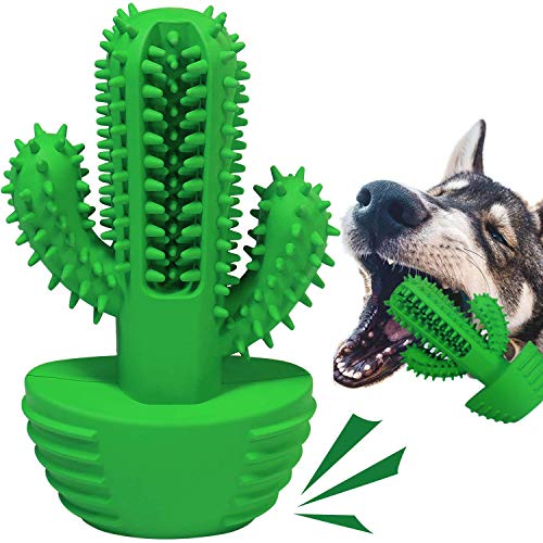 Bestbuy Zahnbürstenstab für Hunde, effektive Zahnreinigung, Massagegerät, ungiftig, Naturkautschuk, bissfest, Kauspielzeug für Hunde, Kaktusform Bestbuy Zahnbürstenstab für Hunde, effektive Zahnreinigung, Massagegerät, ungiftig, Naturkautschuk, bissfest, Kauspielzeug für Hunde, Kaktusform von Bestbuy