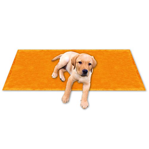 Bestgoodies Tierdecke Haustierdecke Kuscheldecke Hundebett Katzendecke (Kuschel - Supersoft / 70x100 cm/orange - apricot) von Bestgoodies