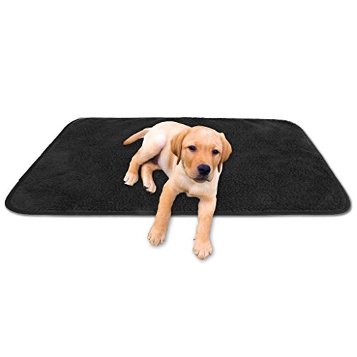 Bestgoodies Tierdecke Haustierdecke Kuscheldecke Hundebett Katzendecke (Lammflor - Design / 60x80 cm/schwarz - Jet Black) von Bestgoodies