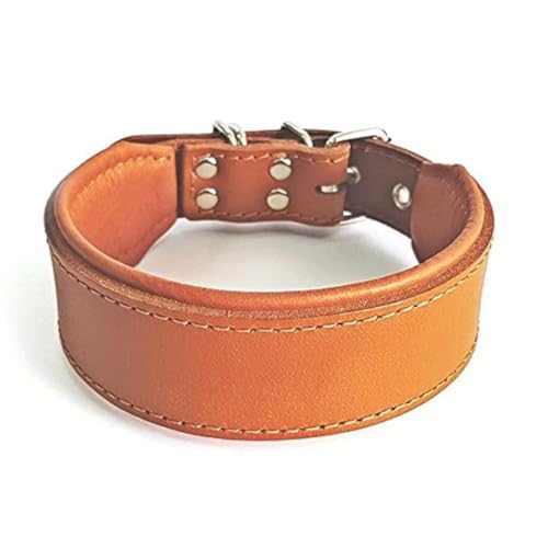 Bestia™ "Classic Echtleder Hundehalsband. 100% Leder. Weich gepolstert. TOP Qualität! von Bestia