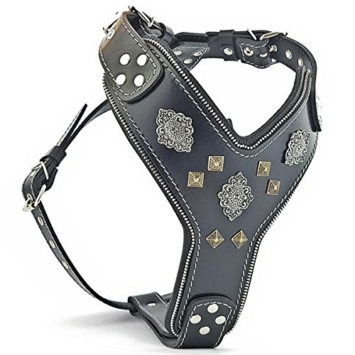 Bestia "Aztec'' Leder Brustgeschirr für große Hunde in Schwarz Bestia "Aztec'' Leder Brustgeschirr für große Hunde in Schwarz von Bestia