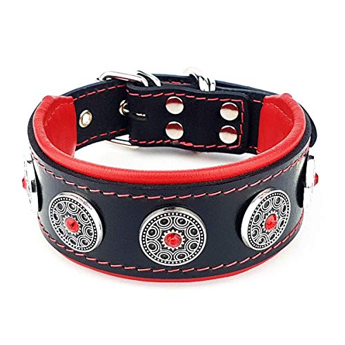 Bestia Bijou Hundehalsband mit Zierconchos. 100% Leder. Weich gepolstert. Handgefertigt in Europa! Bestia Bijou Hundehalsband mit Zierconchos. 100% Leder. Weich gepolstert. Handgefertigt in Europa! von Bestia