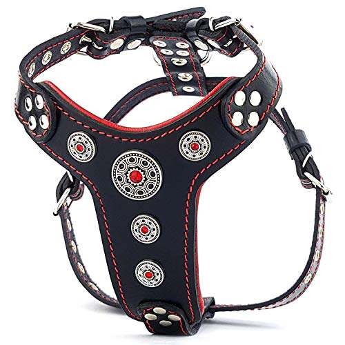Bestia ''Bijou'' Leder Brustgeschirr für Kleine bis Mittelgroße Hunde. 100% Leder. Handgefertigt. Top Qualität Bestia ''Bijou'' Leder Brustgeschirr für Kleine bis Mittelgroße Hunde. 100% Leder. Handgefertigt. Top Qualität von Bestia