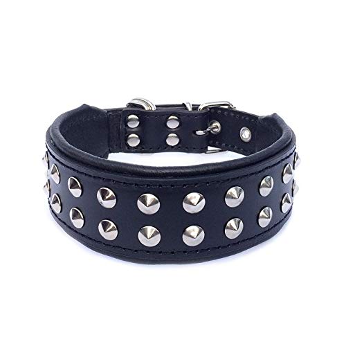 Bestia ''Boston'' Halsband Bestia ''Boston'' Halsband von Bestia