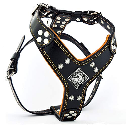 Bestia ''EROS'' Leder Brustgeschirr für große Hunde. Handgefertigt. Top Qualität Bestia ''EROS'' Leder Brustgeschirr für große Hunde. Handgefertigt. Top Qualität von Bestia