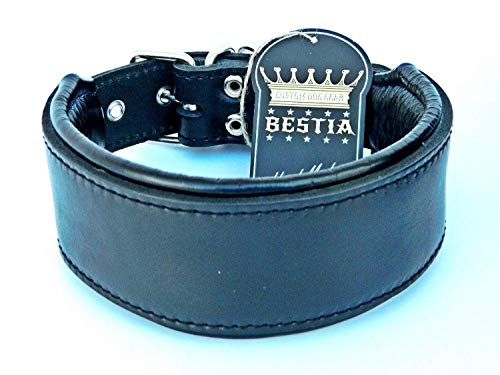 Bestia Echtleder Hundehalsband mit weicher Leder Innenpolsterung. 6,5 cm breit. Passfit. 100% Echtleder. komplett schwarz Bestia Echtleder Hundehalsband mit weicher Leder Innenpolsterung. 6,5 cm breit. Passfit. 100% Echtleder. komplett schwarz von Bestia