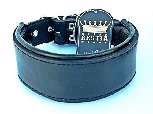 Bestia Echtleder Hundehalsband mit weicher Leder Innenpolsterung. 6,5 cm breit. Passfit. 100% Echtleder. komplett schwarz. Größen M, L, XL, XXL Bestia Echtleder Hundehalsband mit weicher Leder Innenpolsterung. 6,5 cm breit. Passfit. 100% Echtleder. komplett schwarz. Größen M, L, XL, XXL von Bestia