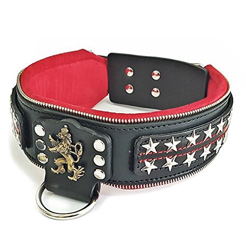 Bestia "General Lederhalsband mit austauschbaren Designs. 6,3 cm breit! Nur für große Hunde, Dogo, Rottweiler, Presa, Bulldog, Pitbull, Bully, Amstaff, Cane Corso Bestia "General Lederhalsband mit austauschbaren Designs. 6,3 cm breit! Nur für große Hunde, Dogo, Rottweiler, Presa, Bulldog, Pitbull, Bully, Amstaff, Cane Corso von Bestia