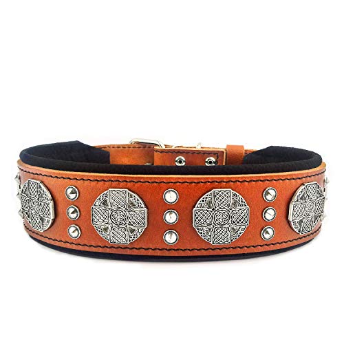 Bestia Maximus Echtleder Hundehalsband für große Hunde 100% Leder Bestia Maximus Echtleder Hundehalsband für große Hunde 100% Leder von Bestia