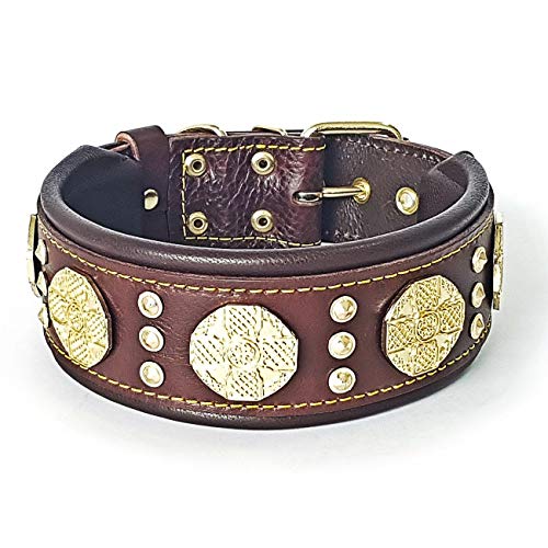 Bestia Maximus Hundehalsband, Echtleder, für große Rassen, Cane Corso, Rottweiler, Boxer, Bullmastiff, Dogo, hochwertiges Hundehalsband, 100 % Leder Bestia Maximus Hundehalsband, Echtleder, für große Rassen, Cane Corso, Rottweiler, Boxer, Bullmastiff, Dogo, hochwertiges Hundehalsband, 100 % Leder von Bestia