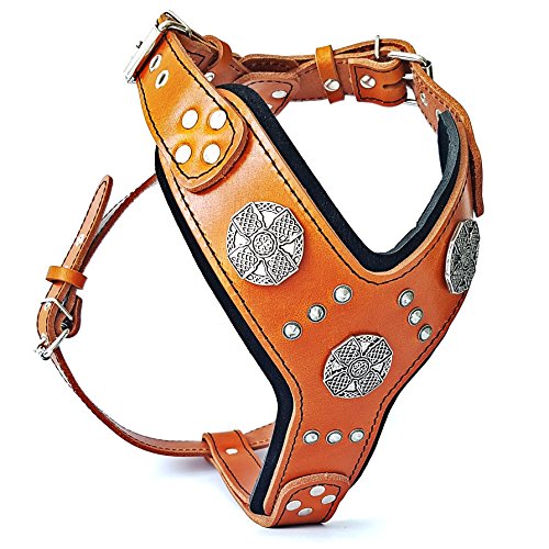 Bestia |Maximus| Leder Brustgeschirr für große Hunde. Bis 145 cm Brustumfang. 100% Leder. Handgefertigt. Top Qualität Bestia |Maximus| Leder Brustgeschirr für große Hunde. Bis 145 cm Brustumfang. 100% Leder. Handgefertigt. Top Qualität von Bestia