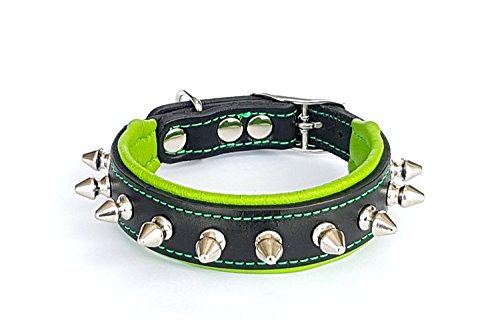 Bestia Spiky Halsband mit stumpfen Schraubspitzen. Für kleine Hunderassen oder Welpen. 2,5 cm breit. Weich gepolstert. 100% Echtleder, innen und außen. Handgemacht in Europa! … von Bestia