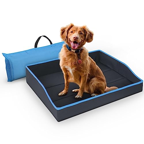Bestlivings Faltbares Haustierbett für Kleine Hunde und Katzen - Blau - (60cm x 43cm) Reisebett - tragbares Hundebett mit stabilem Rahmen von Bestlivings