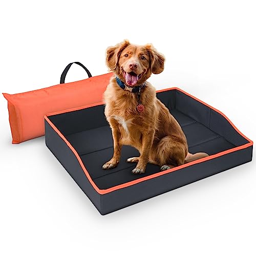Bestlivings Faltbares Haustierbett für Kleine Hunde und Katzen - Orange - (60cm x 43cm) Reisebett - tragbares Hundebett mit stabilem Rahmen von Bestlivings
