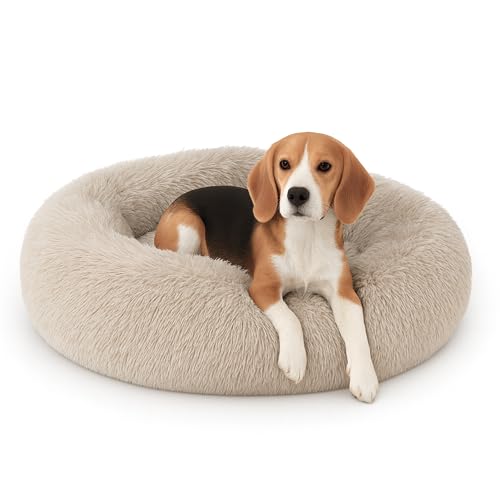 Bestlivings Haustierbett Fluffy Ø50cm (Beige) L - Hundekissen rund flauschig, Öko-Tex, rutschfest und waschbar - Hundebett Katzenbett Hunde & Katzen von Bestlivings