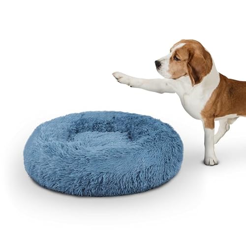 Bestlivings Haustierbett Fluffy Ø100cm (Türkis) XXL Hundekissen rund flauschig, Öko-Tex, rutschfest und waschbar Hundebett Katzenbett Hunde & Katzen von Bestlivings