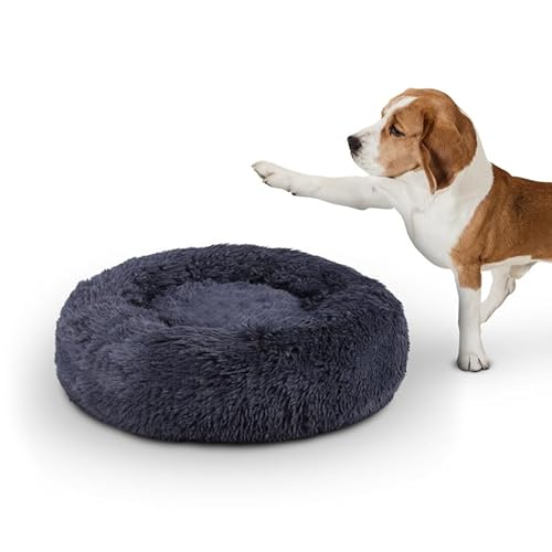 Bestlivings Haustierbett Fluffy Ø50cm (Anthrazit) L - Hundekissen rund flauschig, Öko-Tex, rutschfest und waschbar - Hundebett Katzenbett Hunde & Katzen von Bestlivings