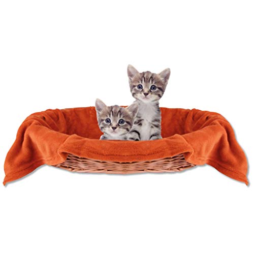 Bestlivings Haustierdecke Katzendecke Kuscheldecke Tierdecke, angenehm und super weich in vielen erhältlich (70x100 cm/Terracotta - Rostbraun) von Bestlivings