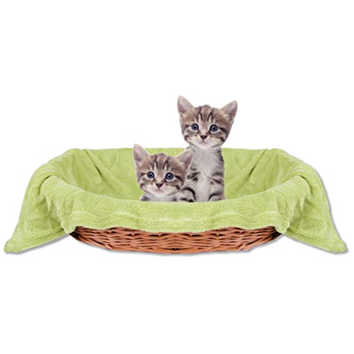 Bestlivings Haustierdecke Katzendecke Kuscheldecke Tierdecke, angenehm und super weich in vielen erhältlich (80x120 cm/grün - limettengrün) von Bestlivings