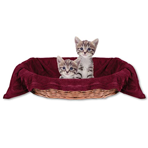 Bestlivings Haustierdecke Katzendecke Kuscheldecke Tierdecke, angenehm und super weich in vielen erhältlich (60x80 cm/Kastanie - rotbraun) von Bestlivings
