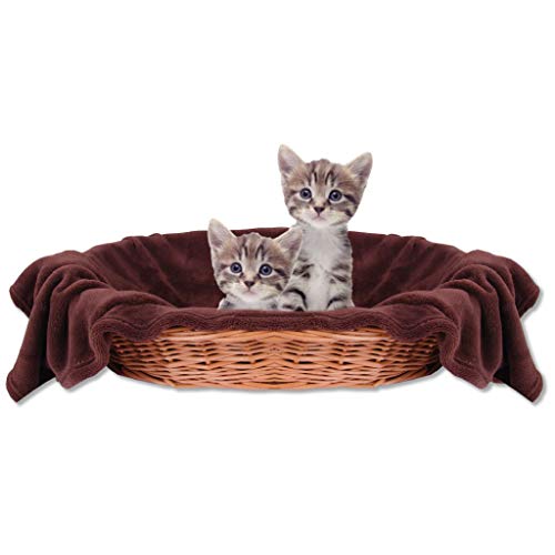 Bestlivings Haustierdecke Katzendecke Kuscheldecke Tierdecke, angenehm und super weich in vielen erhältlich (60x80 cm/braun - Dunkelbraun) von Bestlivings
