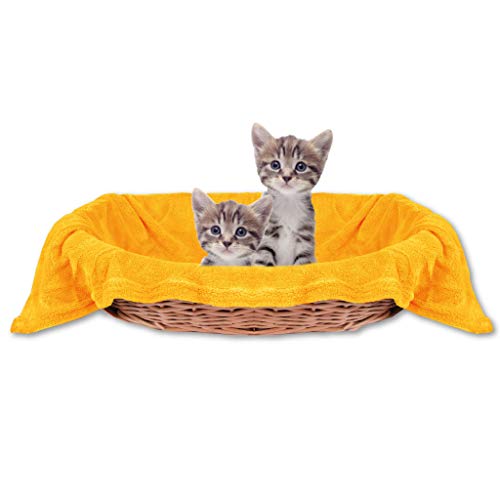 Bestlivings Haustierdecke Katzendecke Kuscheldecke Tierdecke, angenehm und super weich in vielen erhältlich (60x80 cm/orange - Marigold) von Bestlivings