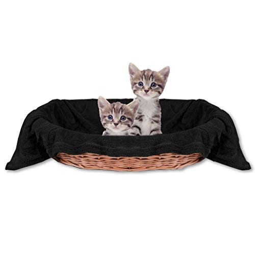 Bestlivings Haustierdecke Katzendecke Kuscheldecke Tierdecke, angenehm und super weich in vielen erhältlich (60x80 cm/schwarz - Black) von Bestlivings