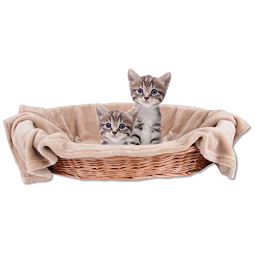 Bestlivings Haustierdecke Katzendecke Kuscheldecke Tierdecke, angenehm und super weich in vielen erhältlich (60x80 cmbeige - Hellbraun) von Bestlivings